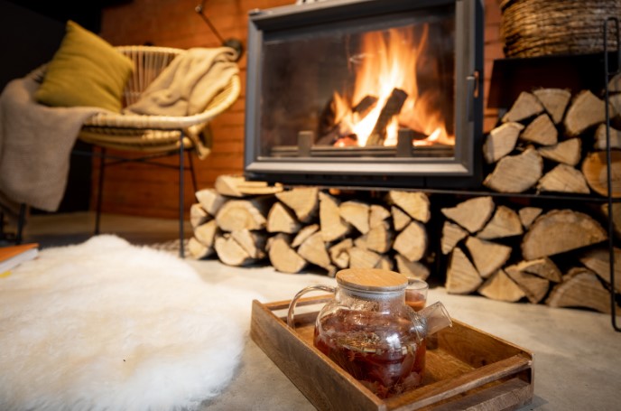 какие дрова лучше горят в печи камине